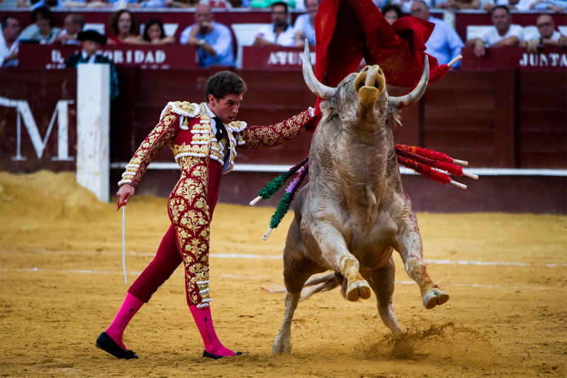 Pase de pecho de Ginés Marín